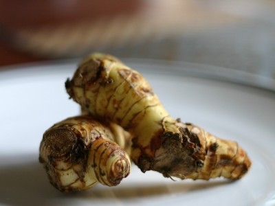 Zdrowy składnik: galangal